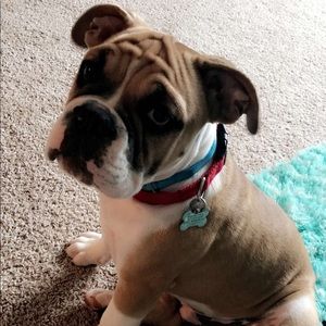 Meet your Posher, Jenny